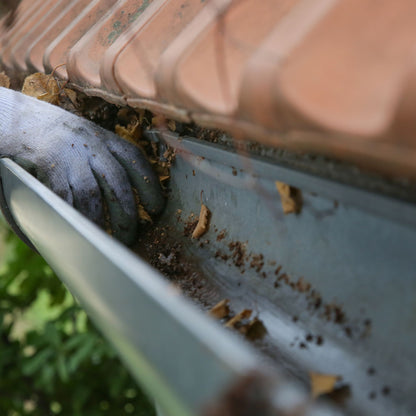 Two Story Gutter Cleaning