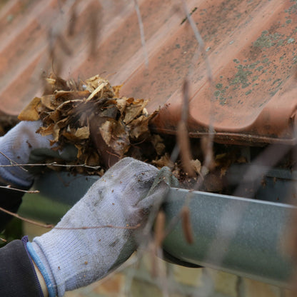 Two Story Gutter Cleaning