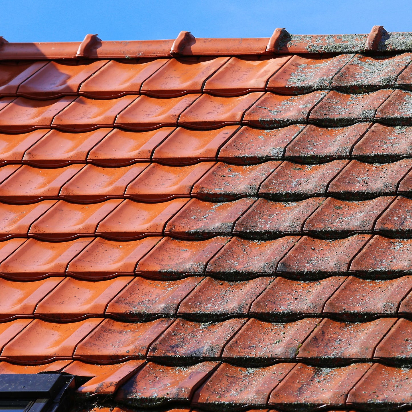 One Story Roof Cleaning